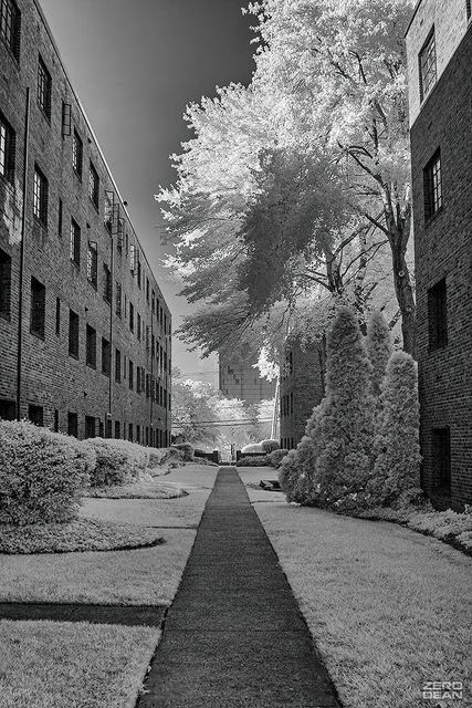 Bethesda Bulding In Infrared - photograph by Zero Dean
