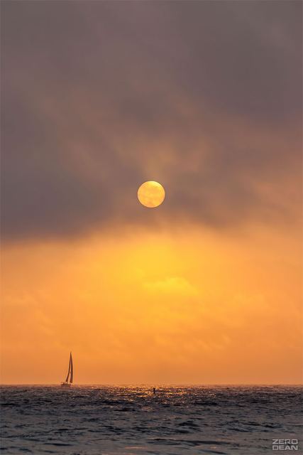 Sailing In Santa Monica - photograph by Zero Dean