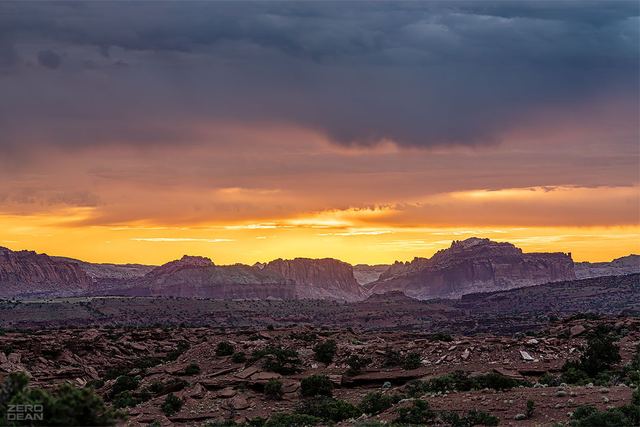 Yellow Utah Morning - photograph by Zero Dean