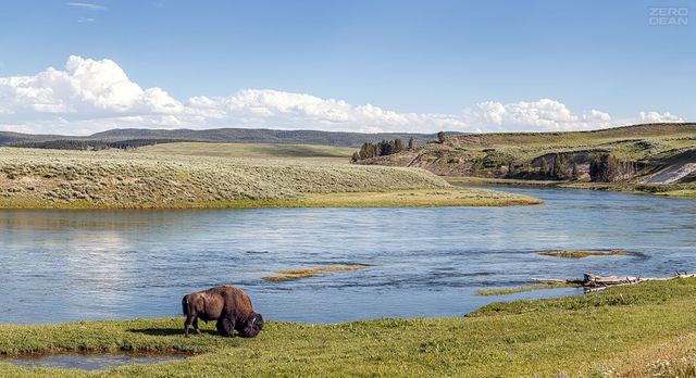 Yellowstone 2010 B - photograph by Zero Dean